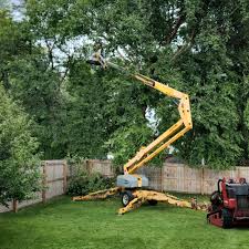 Best Tree Risk Assessment  in Tulsa, OK